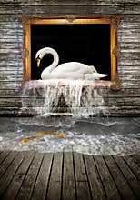 Swan in golden frame