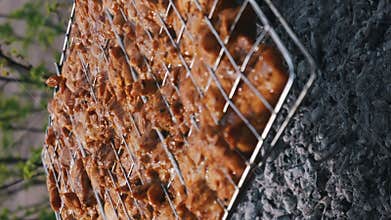 Marinated Chicken Pieces Roasting Over Hot Bbq Coals in Metal Rack