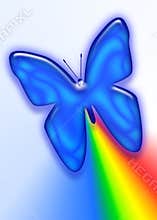 Rainbow Butterfly