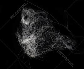 An abstract pet fur on a black background showing spider webs or dust, minimal high-contrast macro texture with copy space