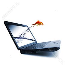 Goldfish jump