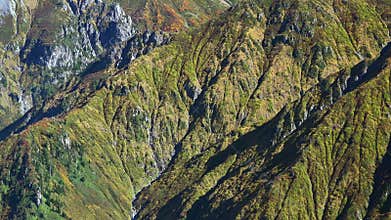 Patagonia Argentina mixed forest and shrubland fill valley below snowy mountain peaks, autumn, andes, south america, andean