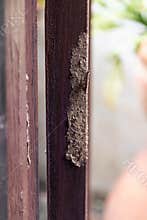 Wood termite damage pest infestation texture wooden frame closeup Wood showing termite damage and pest infestation wooden frame,