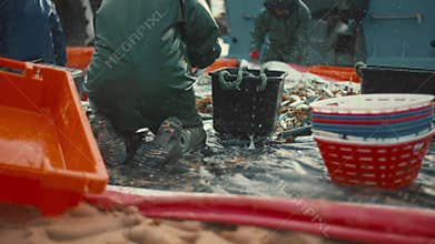 Fishermen sorting a large fresh fish catch