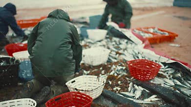 Fishermen collecting fish catch on the beach
