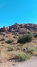 Rocky hill with olive trees under blue sky