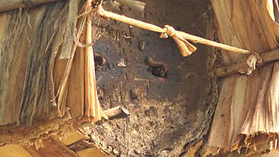 Traditional woven beehive made of straw and wood hosts active honeybees at natural entrance, karakovan, woven hive