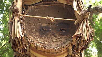 Traditional woven beehive made of straw and wood hosts active honeybees at natural entrance, karakovan, woven hive