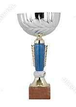 Silver cup