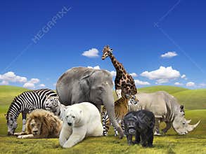 Wild animals group