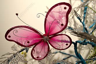 Pink Butterfly