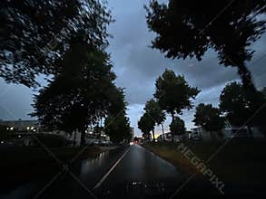 Wet urban street at dusk framed by tall trees under heavy cloud