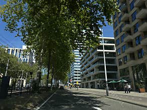 serene urban street scene with modern buildings and trees at street level