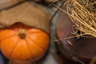 Halloween decorations with pumpkin