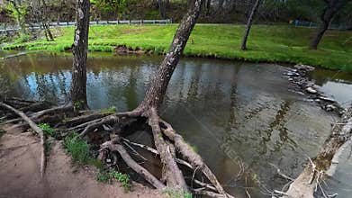 April 23, 2026. A walk through a spring forest in Pennsylvania, USA.