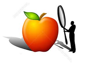 Food Quality Safety Inspection