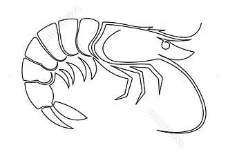 Single line art illustration continuous outline drawing of a shrimp