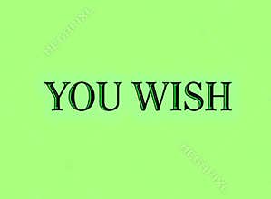 You Wish Minimalist Serif Slang Text for Sarcastic Social Media Clapbacks on Green Screen