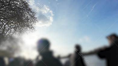 Group of people standing under trees