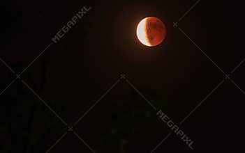 Tetrad Passover of Blood Moon