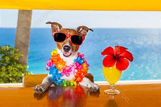 Cocktail dog