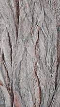 Close up texture of rough tree bark with natural patterns and aged wooden surface