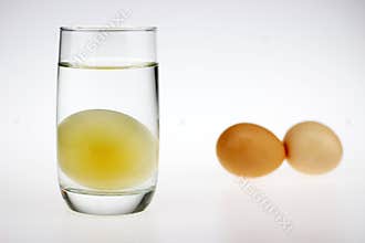 A raw egg without shell