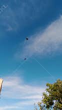Birds flying in blue sky with clouds Damascus