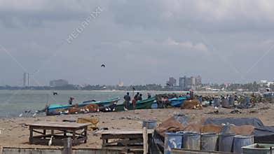 Fishermen unload their catch from old boats, editorial video