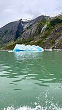 Icebergs in Endicott Arm Alaska