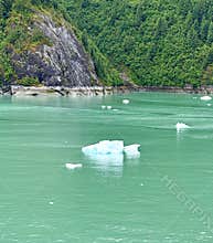 Icebergs in Endicott Arm Alaska