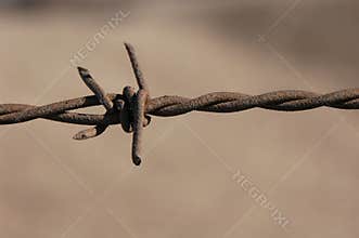 Barbed Wire