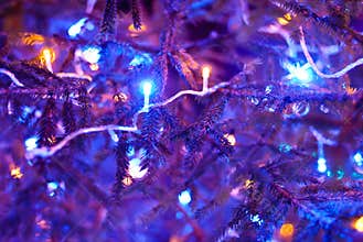 Christmas tree is illuminated by garland lights