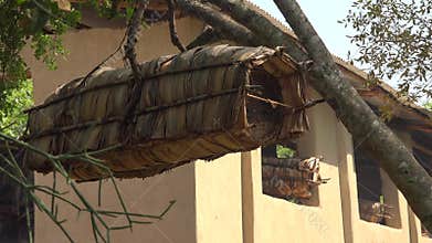 Beekeeping With Traditional Wicker Basket, Log and Skep Beehive under calm daylight, apiary, honey, rural, craft