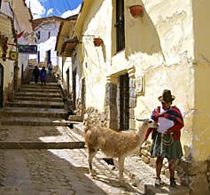 Native Woman from Peru with Lama