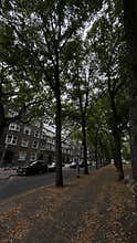 Tree lined residential street in Amsterdam Zuid with brick apartment buildings