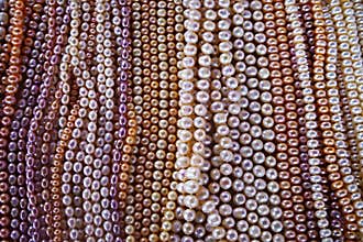 Pearl necklaces