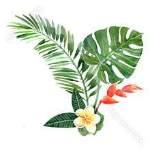 Watercolor tropical plants