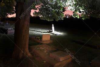 Cemetery with trees