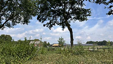 Wide rural landscape with tall trees framing grassy field, distant farmhouse
