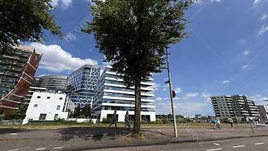 Modern business district with glass office towers, leafy street trees