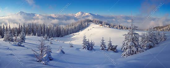 Winter Landscape