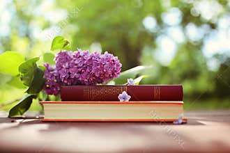 Closed books outdoor. Knowledge is power. Book in a forest. Book on a stump