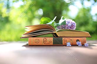 Open books outdoor. Knowledge is power. Book in a forest. Book on a stump