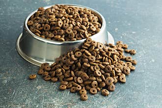 Dog food in metal bowl.