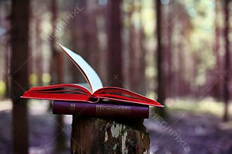 Open books outdoor. Knowledge is power. Book in a forest. Book on a stump