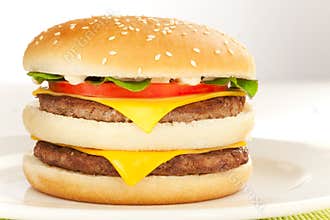 Double cheese burger