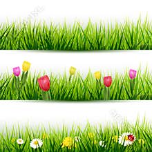 Set of grass borders