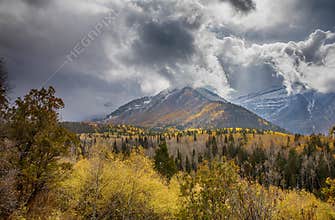 Fall in the Mountains