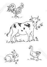 Farm animals